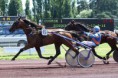 /album/galerie-de-photos-nos-chevaux/cronos-vichy-jpg/